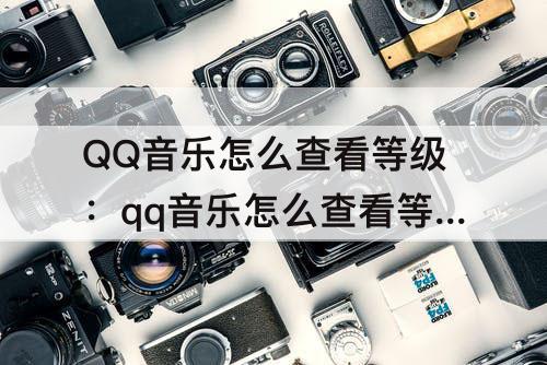 QQ音乐怎么查看等级：qq音乐怎么查看等级进度2021年11月份