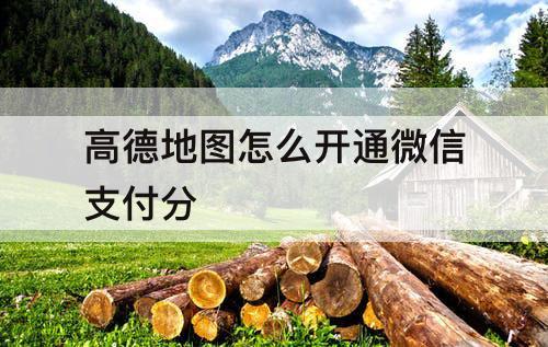 高德地图怎么开通微信支付分