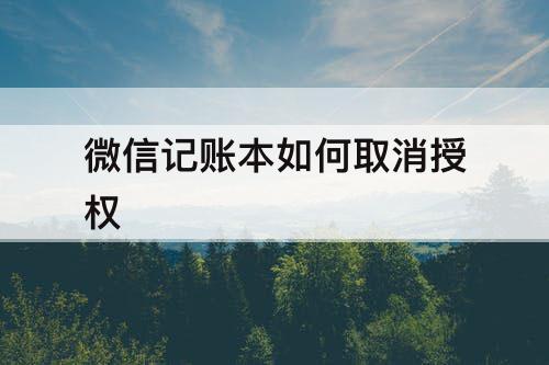 微信记账本如何取消授权