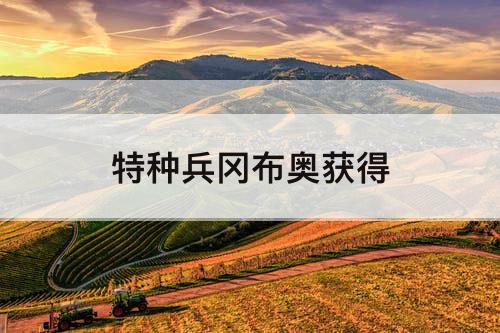 特种兵冈布奥获得