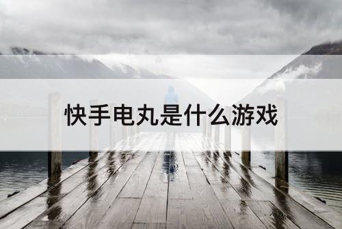 快手电丸是什么游戏