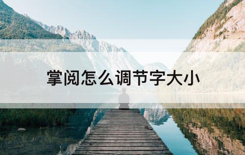 掌阅怎么调节字大小