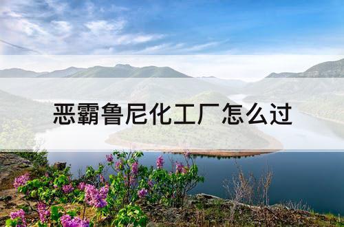 恶霸鲁尼化工厂怎么过