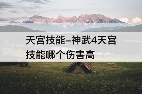 天宫技能-神武4天宫技能哪个伤害高