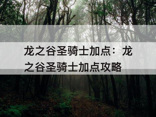 龙之谷圣骑士加点：龙之谷圣骑士加点攻略