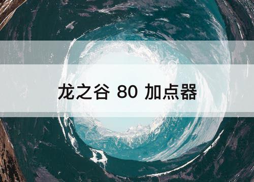 龙之谷 80 加点器