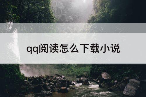 qq阅读怎么下载小说