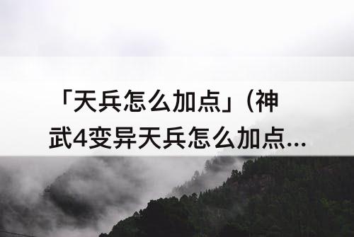 「天兵怎么加点」(神武4变异天兵怎么加点10点怎么分配)