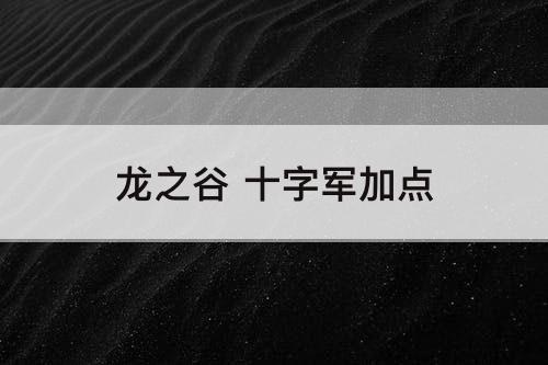 龙之谷 十字军加点