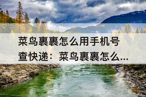 菜鸟裹裹怎么用手机号查快递：菜鸟裹裹怎么用手机号查快递单号