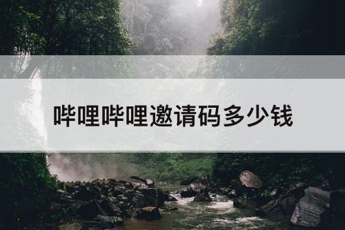 哔哩哔哩邀请码多少钱