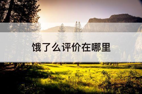 饿了么评价在哪里