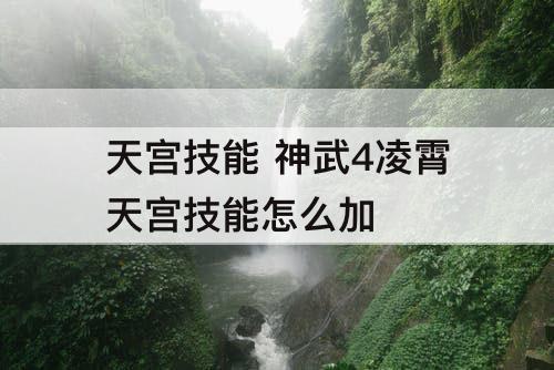 天宫技能 神武4凌霄天宫技能怎么加
