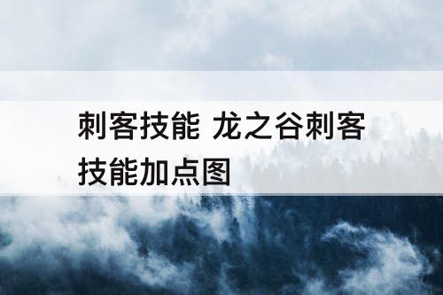 刺客技能 龙之谷刺客技能加点图