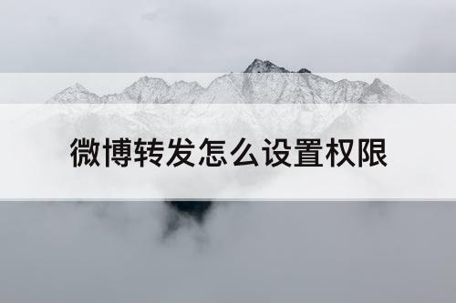 微博转发怎么设置权限