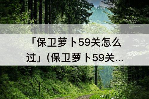 「保卫萝卜59关怎么过」(保卫萝卜59关怎么过不去)
