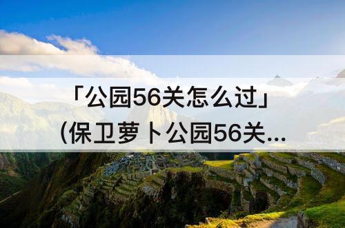 「公园56关怎么过」(保卫萝卜公园56关怎么过)