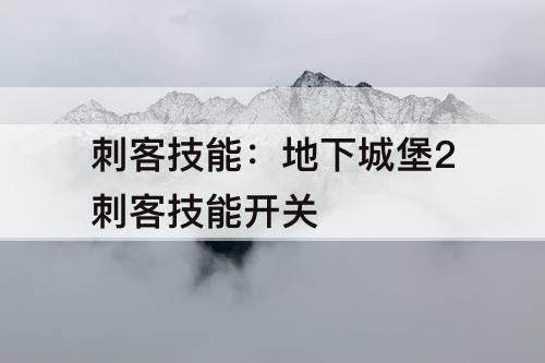 刺客技能：地下城堡2刺客技能开关