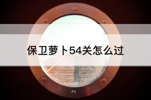 保卫萝卜54关怎么过