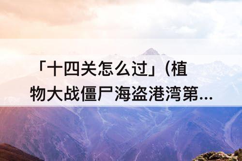 「十四关怎么过」(植物大战僵尸海盗港湾第十四关怎么过)