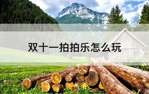 双十一拍拍乐怎么玩