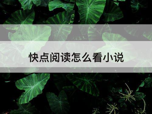 快点阅读怎么看小说
