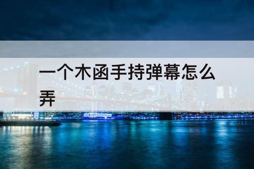 一个木函手持弹幕怎么弄