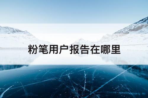 粉笔用户报告在哪里