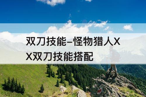双刀技能-怪物猎人XX双刀技能搭配