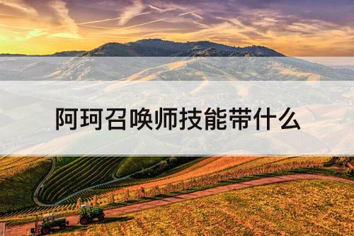 阿珂召唤师技能带什么