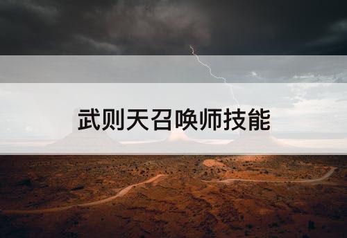 武则天召唤师技能