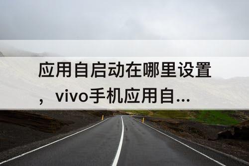 应用自启动在哪里设置，vivo手机应用自启动在哪里设置