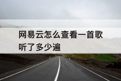 网易云怎么查看一首歌听了多少遍