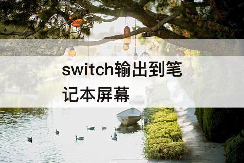 switch输出到笔记本屏幕
