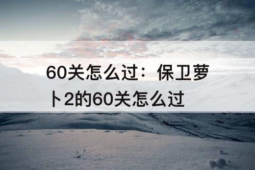 60关怎么过：保卫萝卜2的60关怎么过