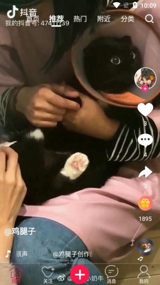中企视频截图