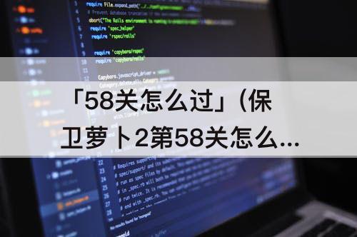「58关怎么过」(保卫萝卜2第58关怎么过)