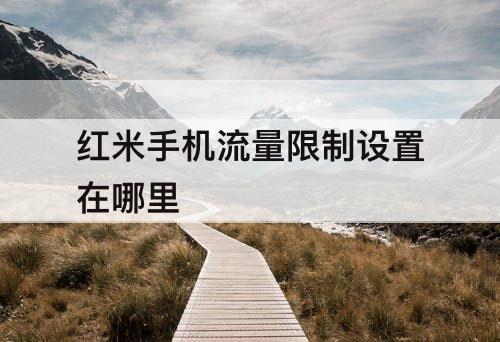 红米手机流量限制设置在哪里