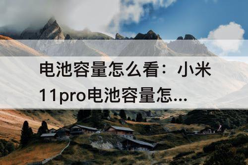 电池容量怎么看：小米11pro电池容量怎么看
