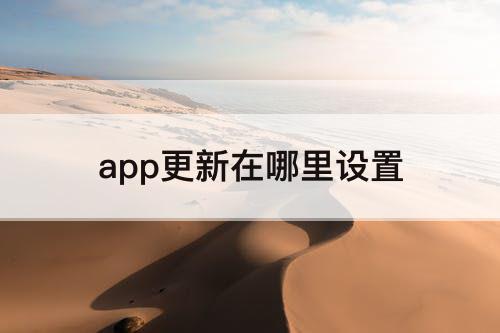 app更新在哪里设置