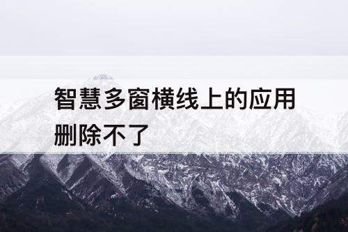 智慧多窗横线上的应用删除不了