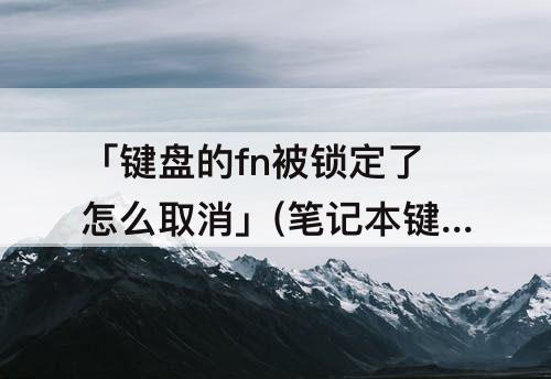 「键盘的fn被锁定了怎么取消」(笔记本键盘的fn被锁定了怎么取消)