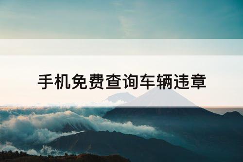 手机免费查询车辆违章