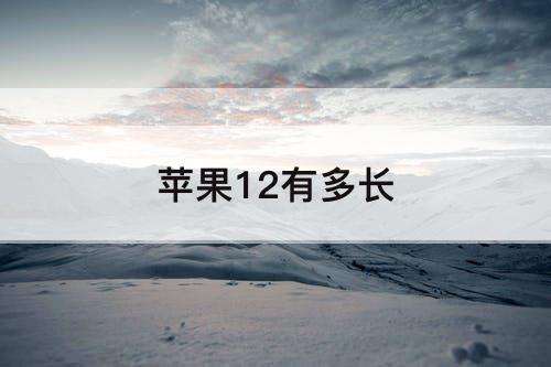 苹果12有多长