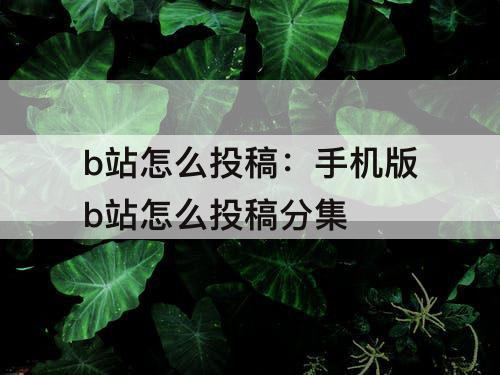 b站怎么投稿：手机版b站怎么投稿分集