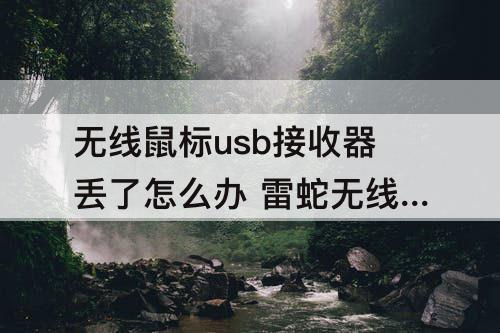 无线鼠标usb接收器丢了怎么办 雷蛇无线鼠标usb接收器丢了怎么办