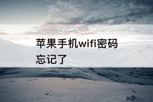 苹果手机wifi密码忘记了