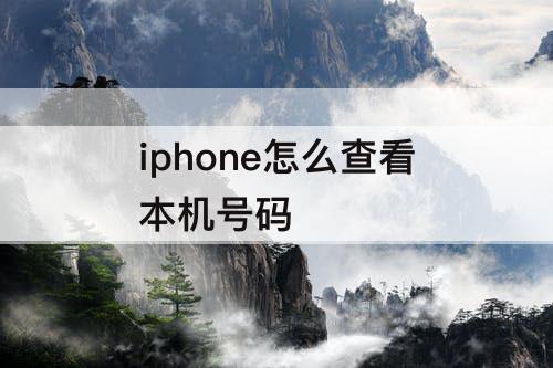 iphone怎么查看本机号码