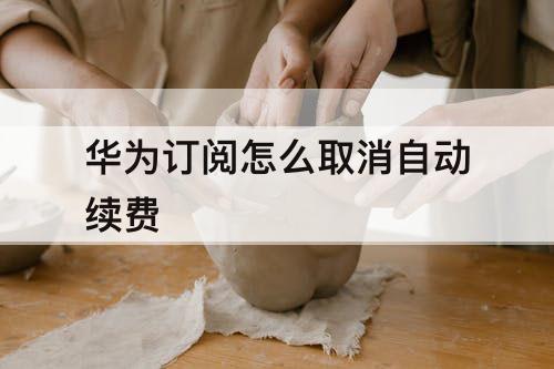 华为订阅怎么取消自动续费