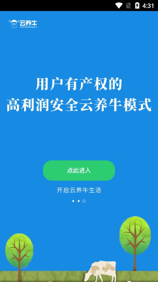 云养牛